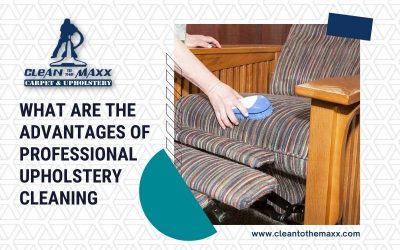 What Are The Advantages Of Professional Upholstery Cleaning?
