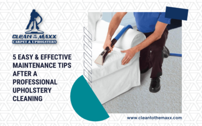5 Easy & Effective Maintenance Tips After A Professional Upholstery Cleaning