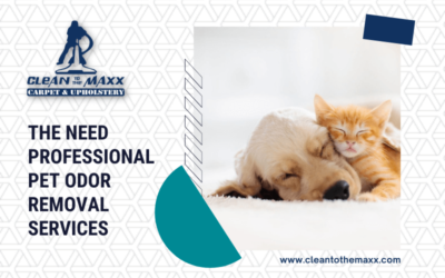 The Need Professional Pet Odor Removal Services