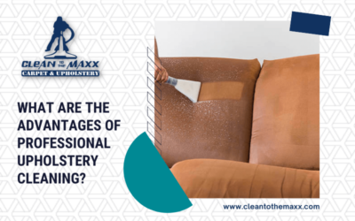 What Are The Advantages Of Professional Upholstery Cleaning?