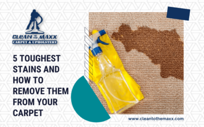 5 Toughest Stains And How To Remove Them From Your Carpet