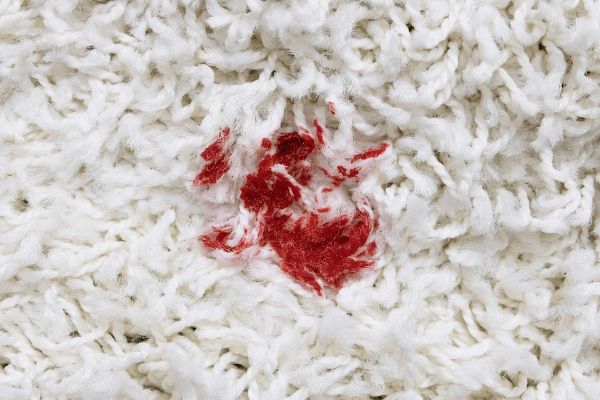 Blood Stain On Carpet