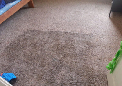 Bedroom Carpet Cleaning Process