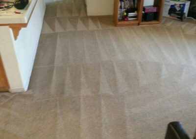 House Carpet Cleaning Image