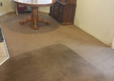 Kitchen Room Carpet Cleaning Process