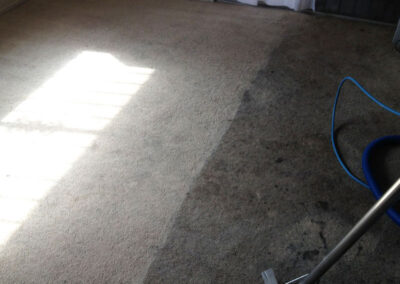 Carpet Cleaning Process in Hanford CA