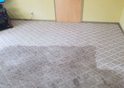 Gray Carpet Cleaning Process