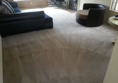 Living Room Carpet Cleaning Service