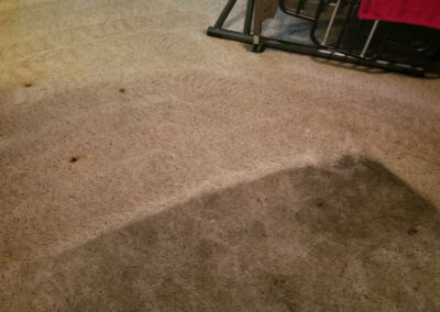 Messy Carpet Cleaning