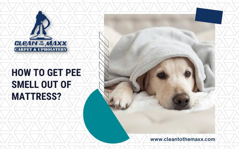 How To Get Pee Smell Out Of Mattress_