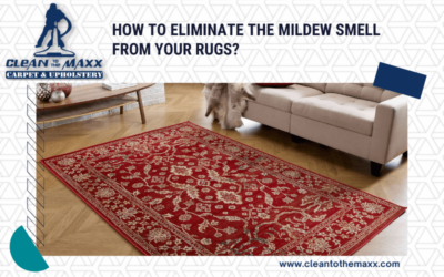 How To Eliminate The Mildew Smell From Your Rugs?