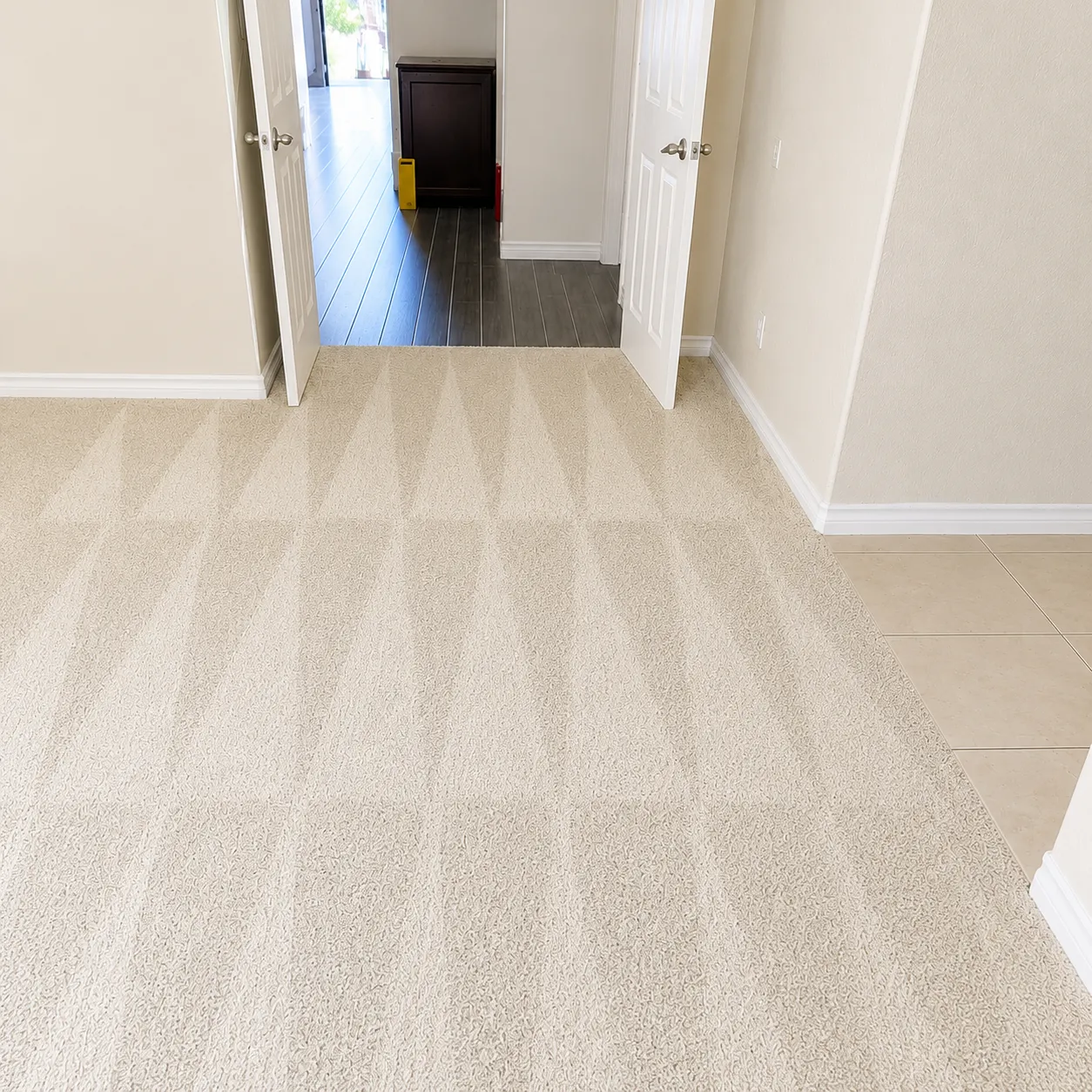 After Carpet Cleaning