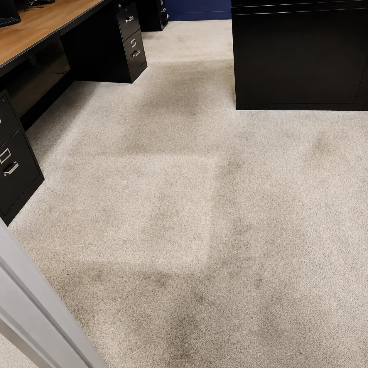 Before Carpet Cleaning (2)