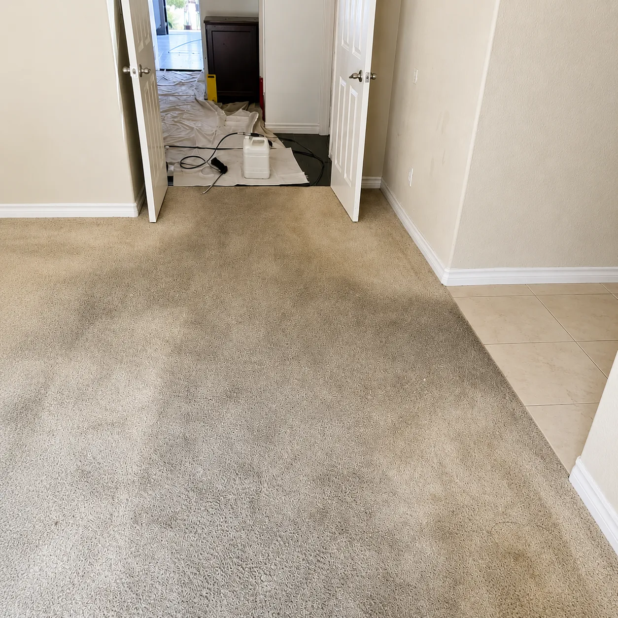 Before Carpet Cleaning