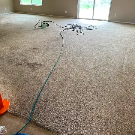 Porterville-large-room-hall-carpet-cleaning-before 5 1