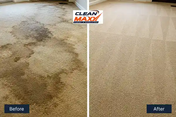 Water-damage-carpet-restoration-img-1-1 (1)