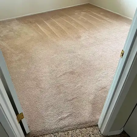 clovis-carpet-cleaning-before-results 1