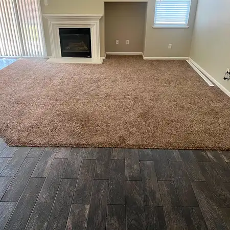 clovis-carpet-cleaning-living-room-before-image 1