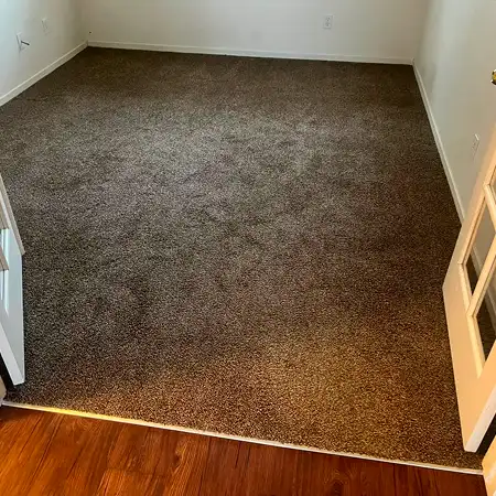 porterville carpet cleaning before 8 1