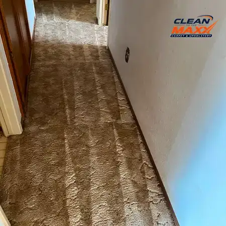porterville-hallway-carpet-cleaning-after-9-1 (1)