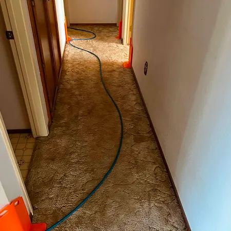 porterville-hallway-carpet-cleaning-before 9 1