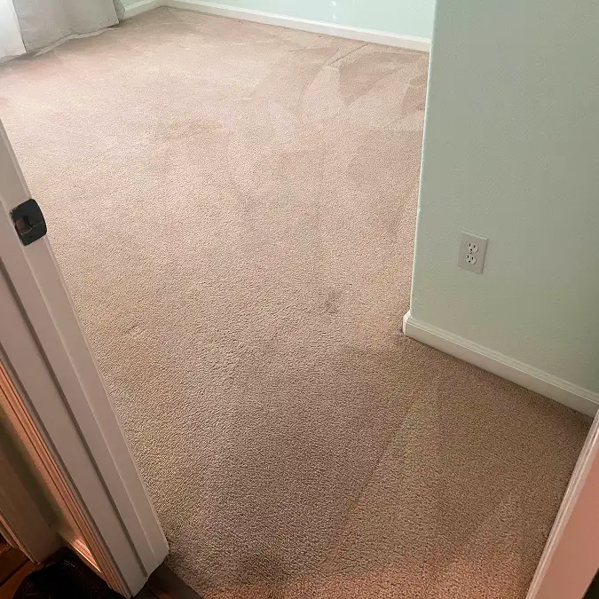Before cleaning image for fresno location carpet cleaning by clean to the maxx team 1