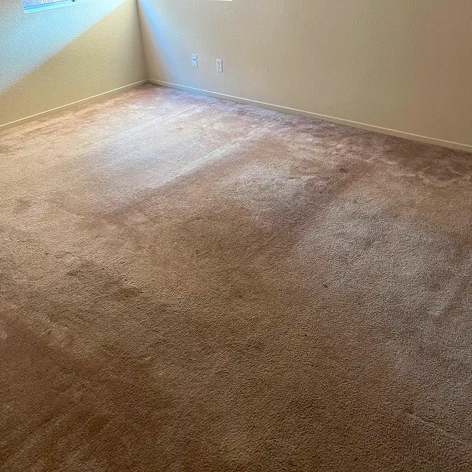 Carpet before professional cleaning with visible dirt and traffic areas