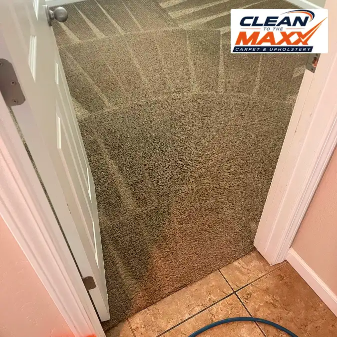Clean carpet in a Lemoore home after professional deep carpet cleaning 2