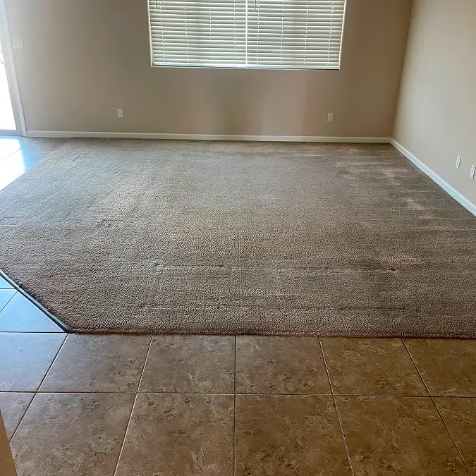 Dirty carpet in a Lemoore home before professional carpet cleaning 2