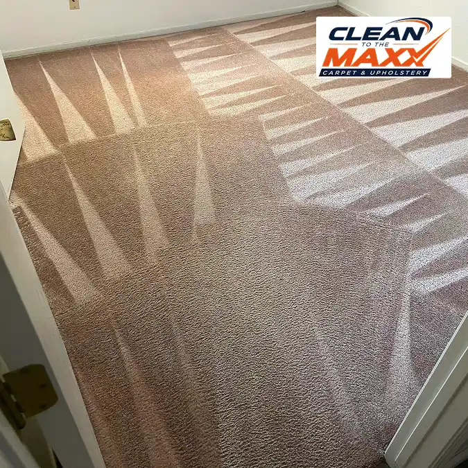 Freshly cleaned carpet after professional carpet cleaning by Clean To The Maxx in visalia ca