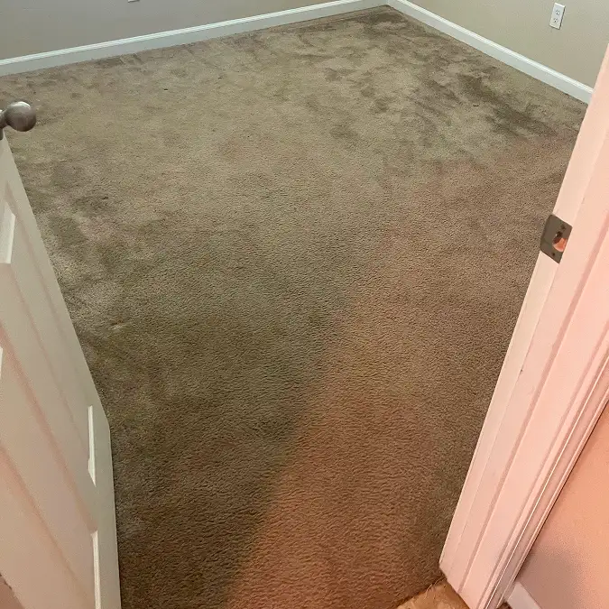 Heavily soiled carpet in a Lemoore home before deep cleaning 2
