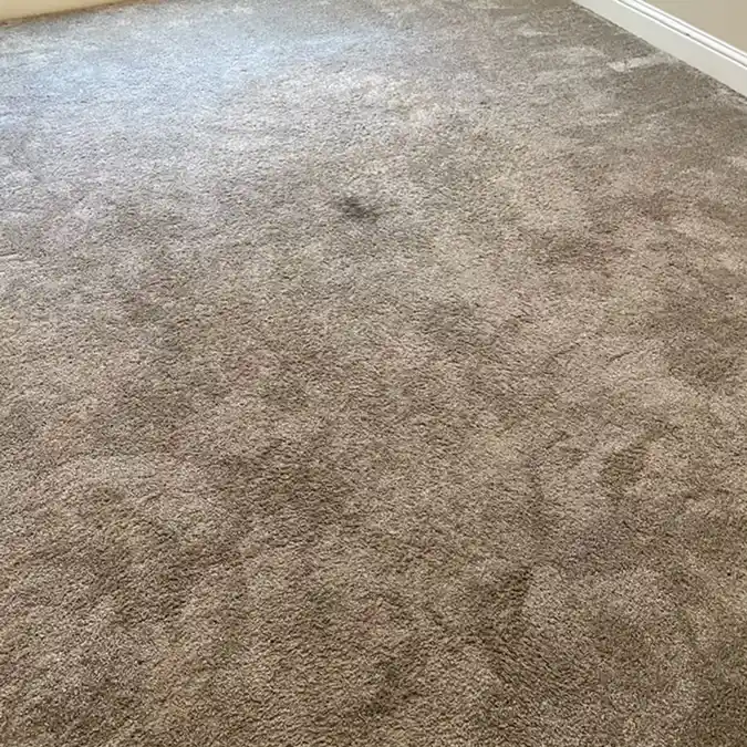 Lemoore carpet after professional cleaning with a visibly refreshed appearance 2