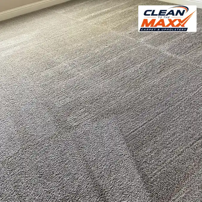 Lemoore carpet before professional cleaning with visible dirt and discoloration 2