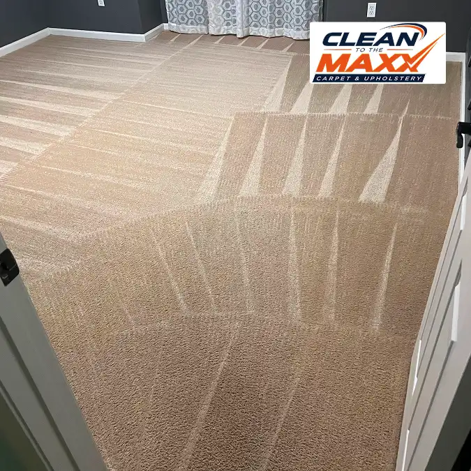 Small room after carpet cleaning image in fresno 1
