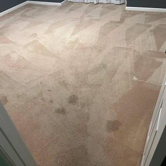 Small room before carpet cleaning image in fresno 1
