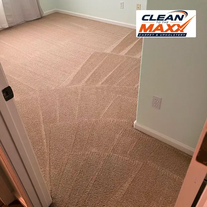 after cleaning image for fresno location carpet cleaning by clean to the maxx team 1