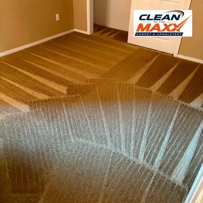 carpet cleaning after image in fresno residential 1