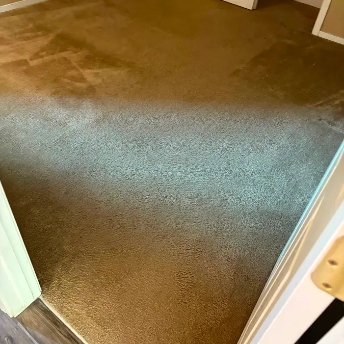 carpet cleaning before image in fresno residential 1