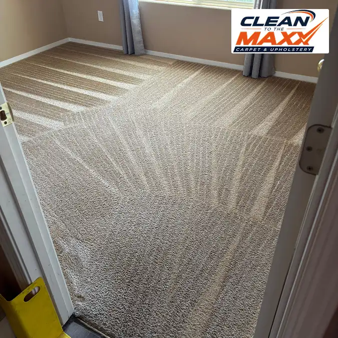 lemoore residential small room carpet cleaning after 2
