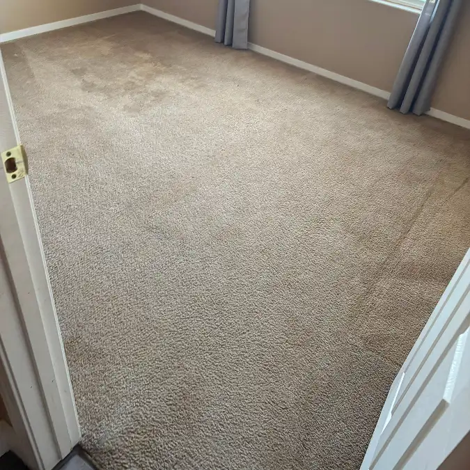 lemoore residential small room carpet cleaning before 2