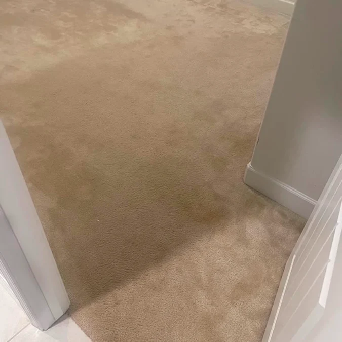 visalia ca carpet cleaning before image 17